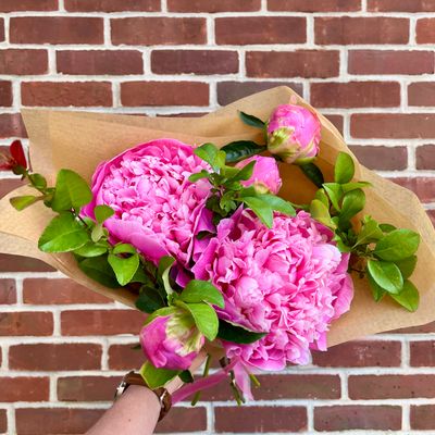 Local Grown Peony Bundle