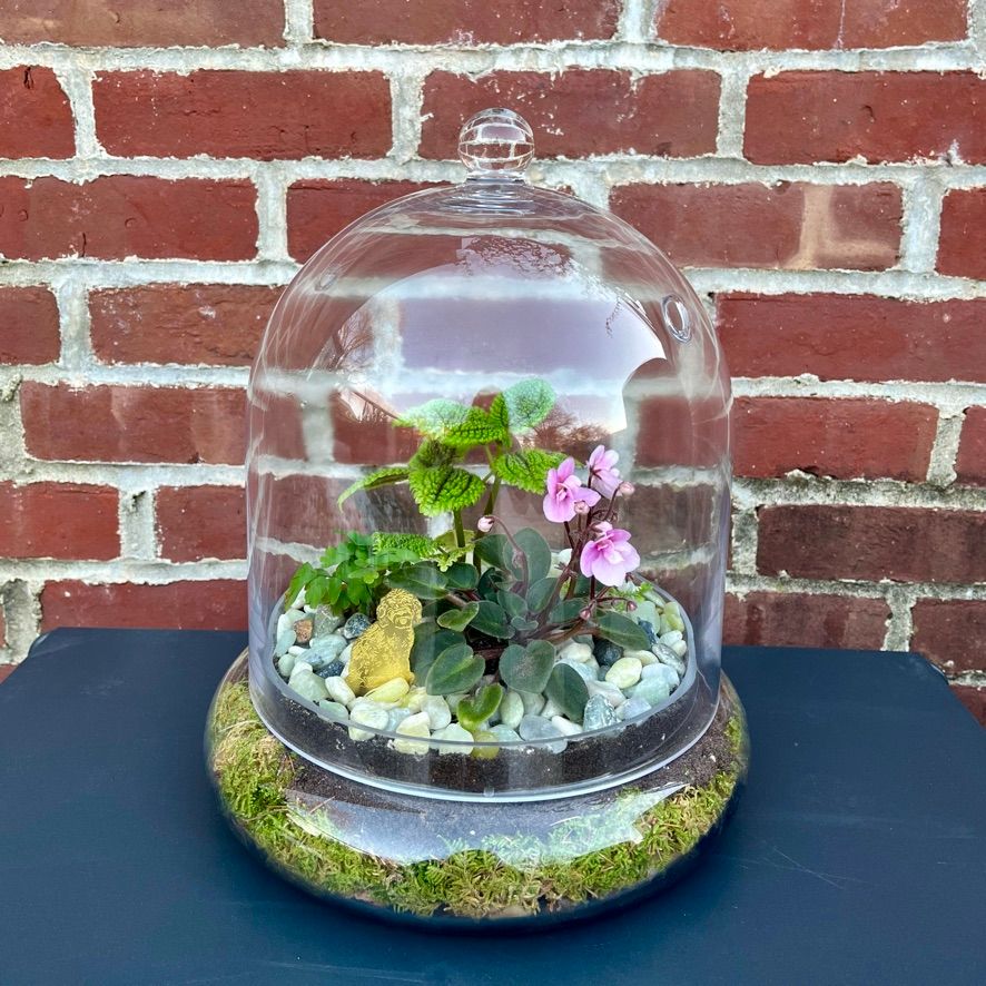 Terrarium
