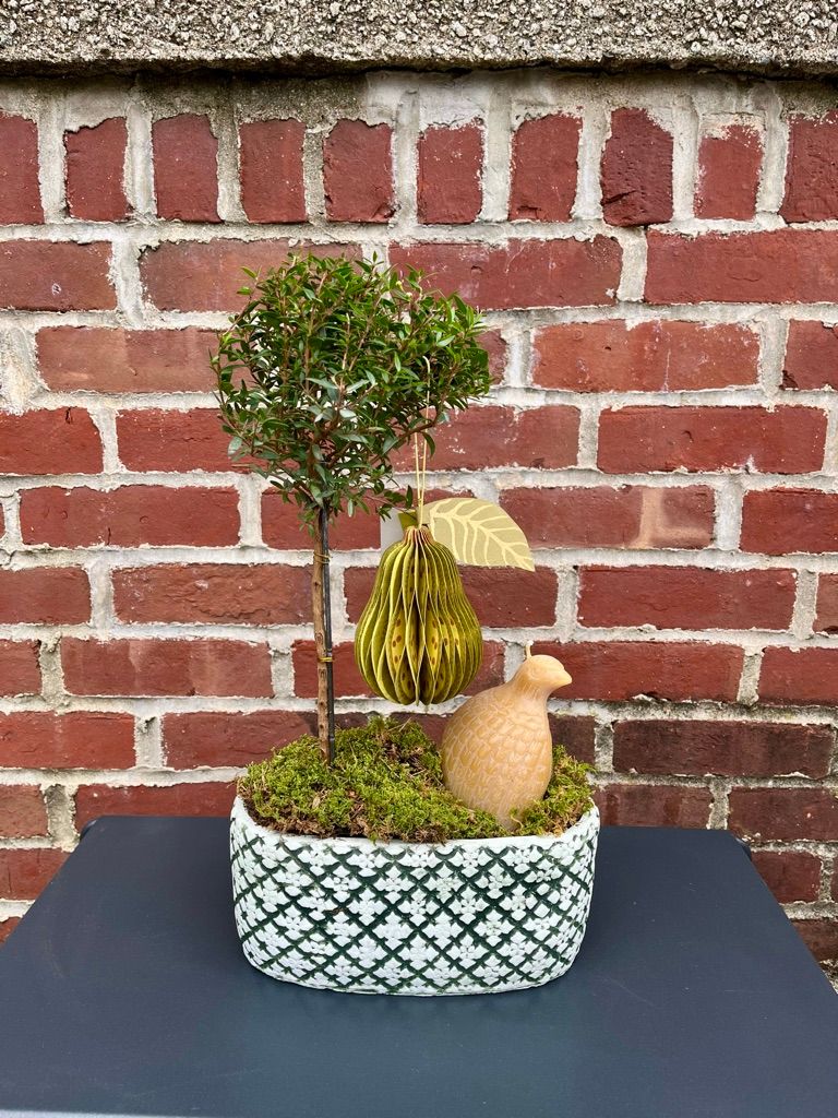 Partridge and a Pear Tree