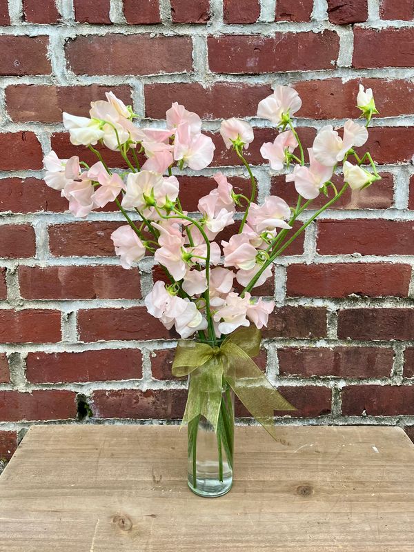 Sweet Pea Vase