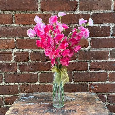Sweet Pea Vase