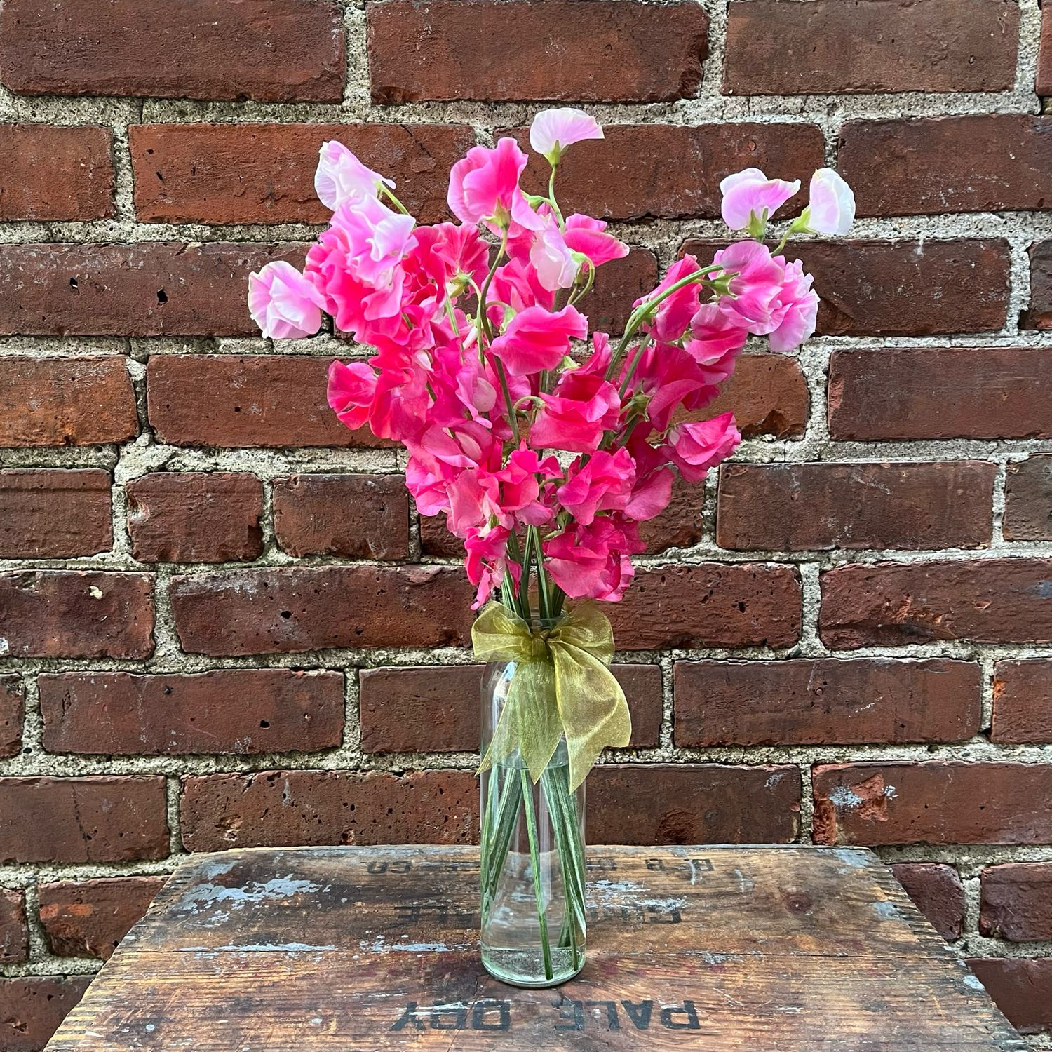 Sweet Pea Vase