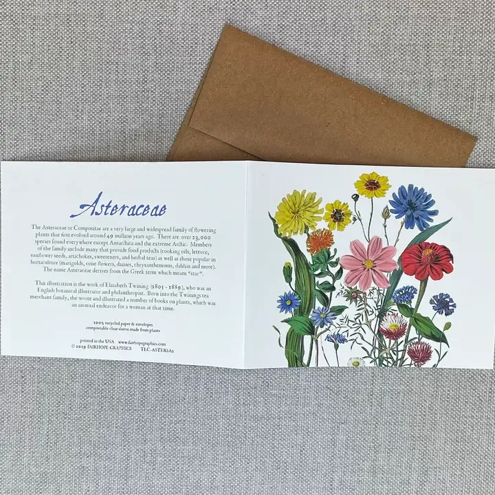 Fairhope Card
