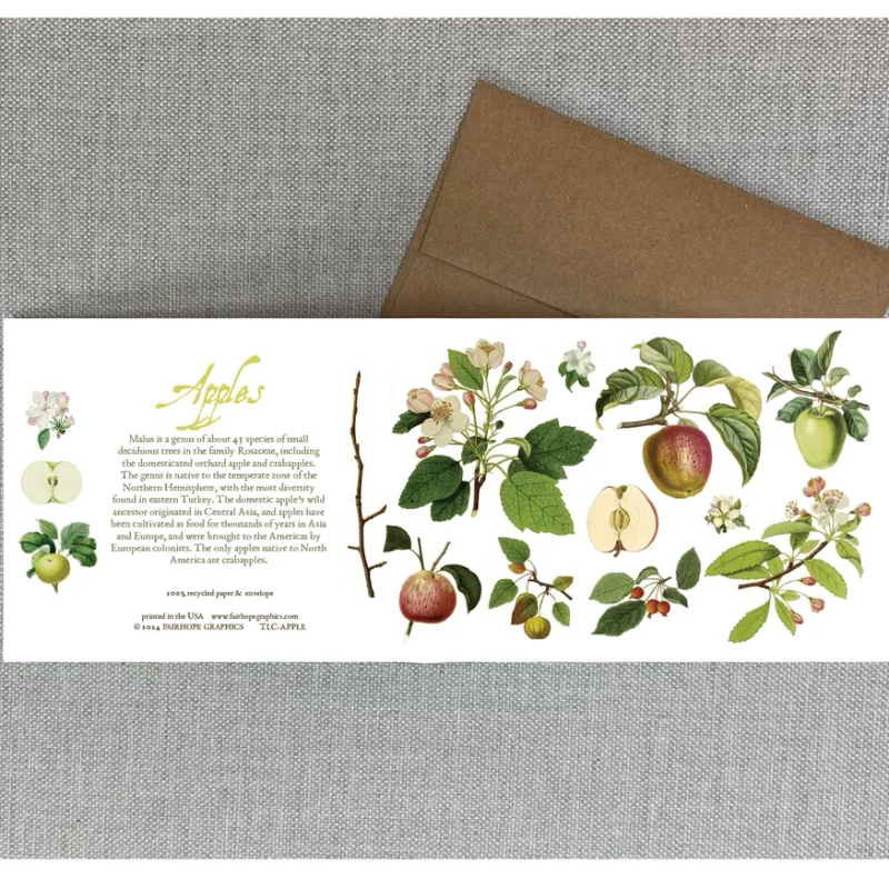 Fairhope Card