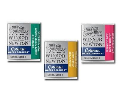 Winsor & Newton Cotman media pastilla