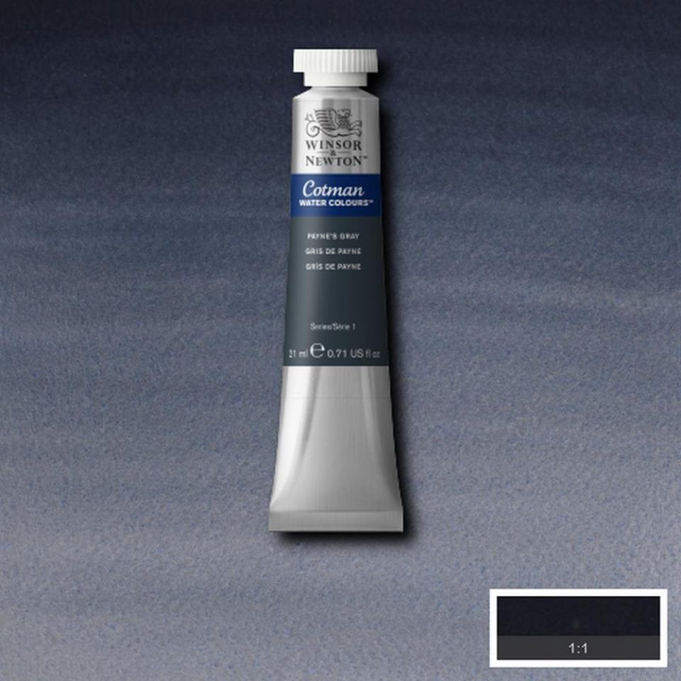 Gris de Payne tubo 21ml