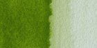 525 Verde oliva amarillento
