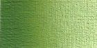 Verde Vejiga 623