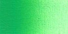 Verde Paolo Verones 615