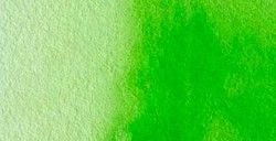 Acuarela Rembrandt 10ml Verde Amarillo Permanente N633
