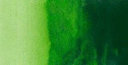 Acuarela Rembrandt 10ml Verde Vejiga N623 Acuarela Rembrandt 10ml Verde Vejiga N623