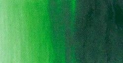 Acuarela Rembrandt 10ml Verde Hooker Claro N644