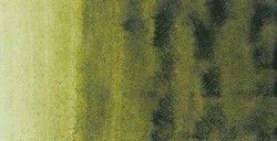 Acuarela Rembrandt 10ml Verde Oliva N620 Acuarela Rembrandt 10ml Verde Oliva N620