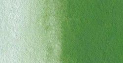 Acuarela Rembrandt 10ml Verde Oxido de Cromo N668