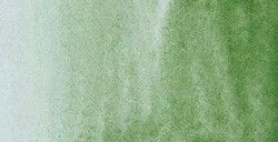 Acuarela Rembrandt 10ml Tierra Verde N629 Acuarela Rembrandt 10ml Tierra Verde N629