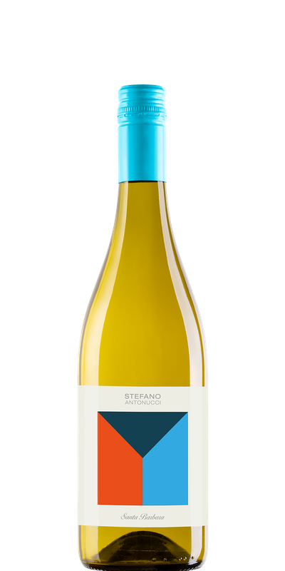 santa barbera by stefano antonucci passerina