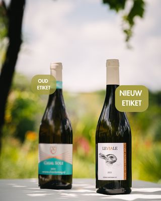 San Cassiano Casal Sole - Le Viale Chardonnay 2023