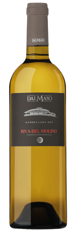 Dal Maso Garganega Riva Del Molino Doc 2022 Dal Maso Garganega Riva Del Molino Doc 2022