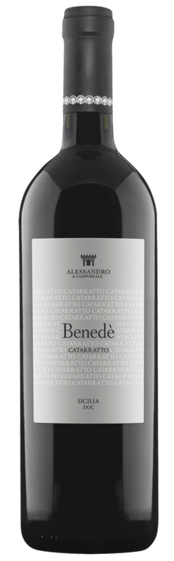 Alessandro Catarratto Benedè 2023 Alessandro Catarratto Benedè 2023