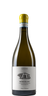 Santa Barbera By Stefano Antonucci Moss Blanc Verdicchio