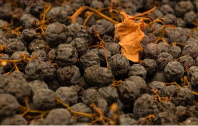 Ca 'Botta - Valpolicella Italië