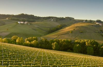 Cascina del Colle - Abruzzo Italië