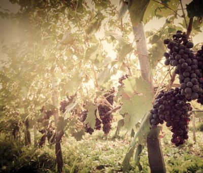 S. Osvaldo - Veneto Italië