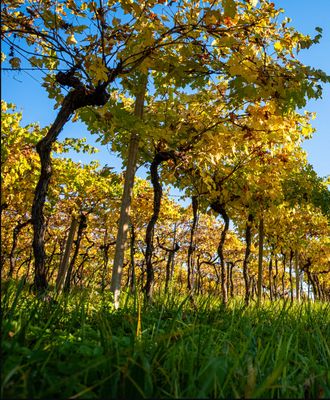 San Cassiano - Veneto Italië