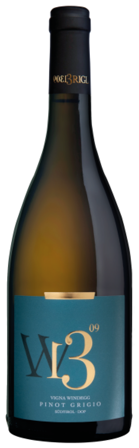 Josef Brigl Pinot Grigio Vigna Windegg 2023