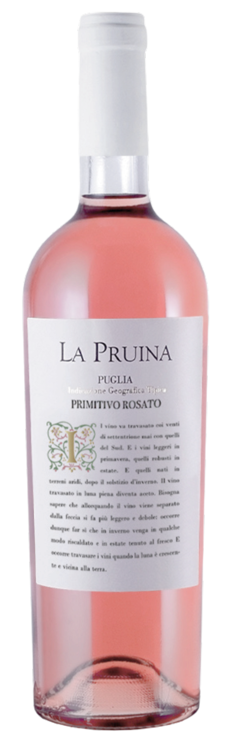 La Pruina Primitivo Rosato Puglia Igp 2023 (Rosé)