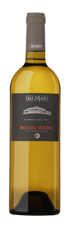 Dal Maso Garganega Riva Del Molino Doc 2022 Dal Maso Garganega Riva Del Molino Doc 2022
