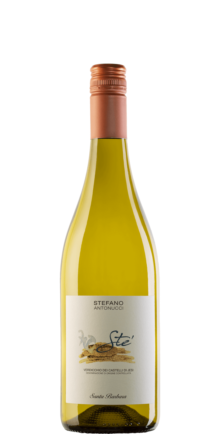 Santa Barbera By Stefano Antonucci Sté Verdicchio 2024