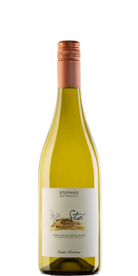 Santa Barbera By Stefano Antonucci Sté Verdicchio 2024