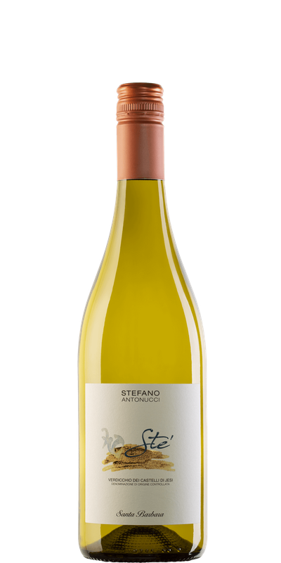 Santa Barbera By Stefano Antonucci Sté Verdicchio 2024 Santa Barbera By Stefano Antonucci Sté Verdicchio 2024
