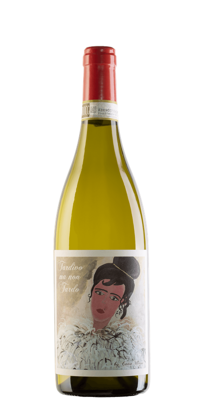 Santa Barbera By Stefano Antonucci Tardivo Ma Non Tardo Verdicchio 2021