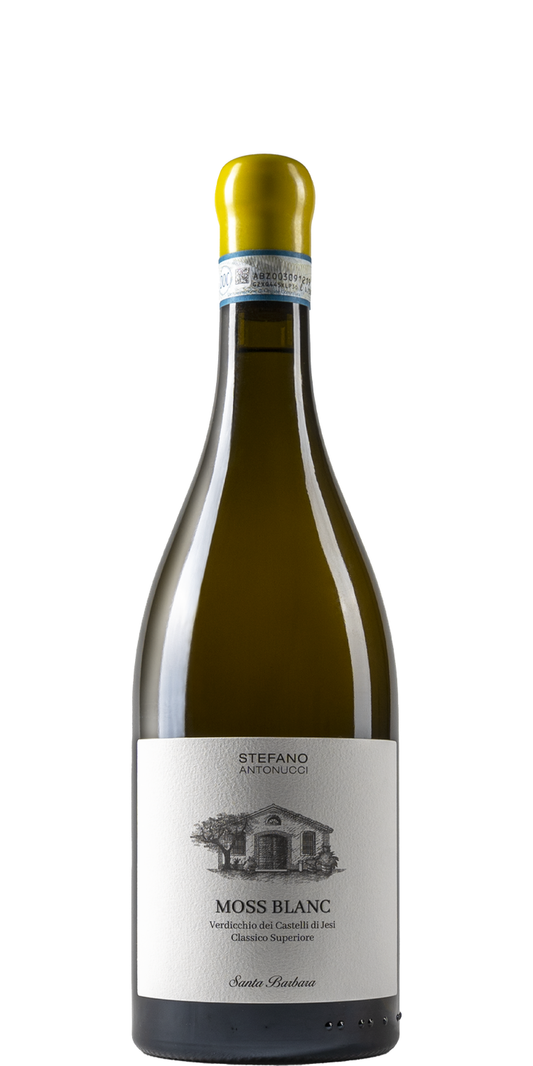 Santa Barbera By Stefano Antonucci Moss Blanc Verdicchio