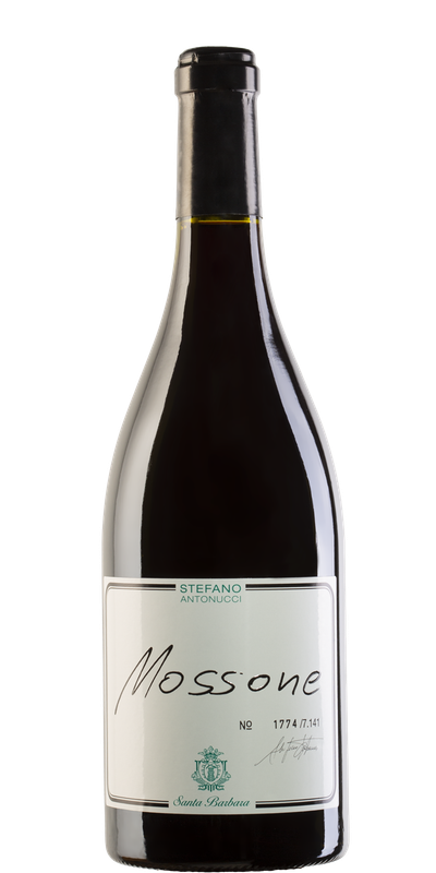 Santa Barbera By Stefano Rosso Mossone 2021