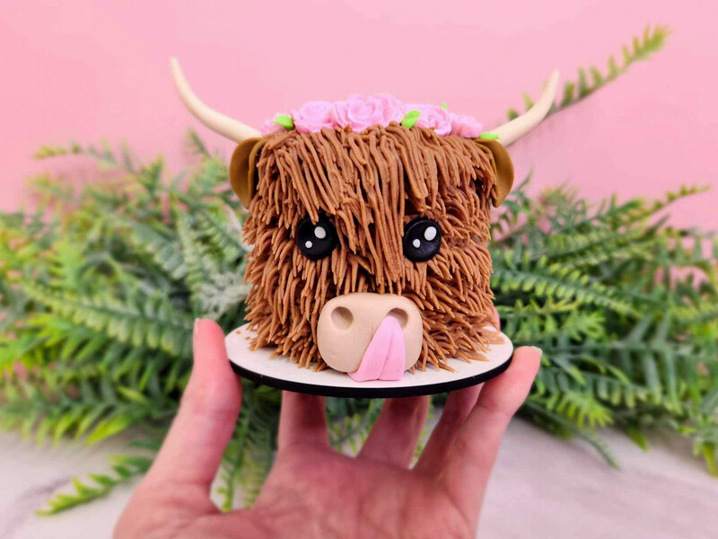 Highland Cow Baby Cake