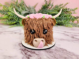 Highland Cow Cake