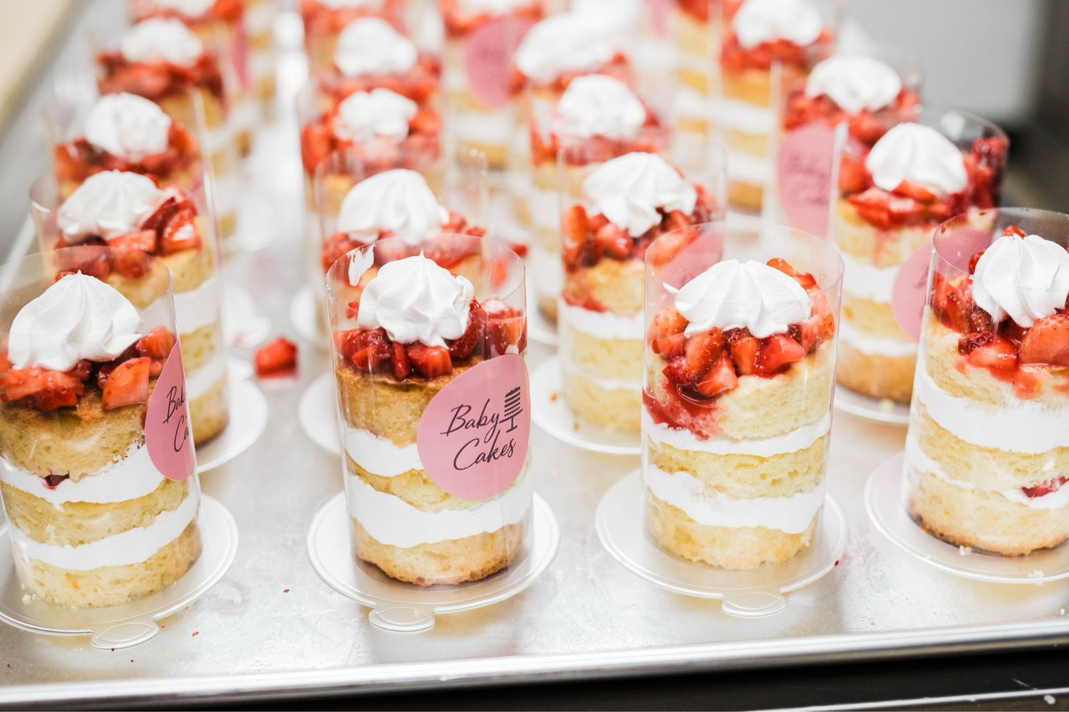 Signature Baby Cakes Dozen
