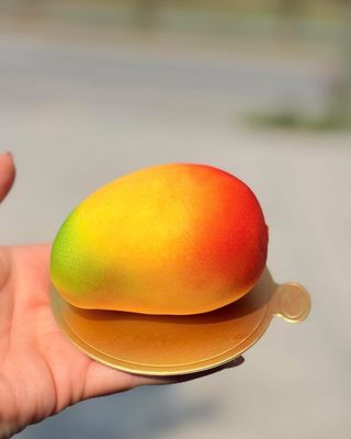Mango Fruit Pastry