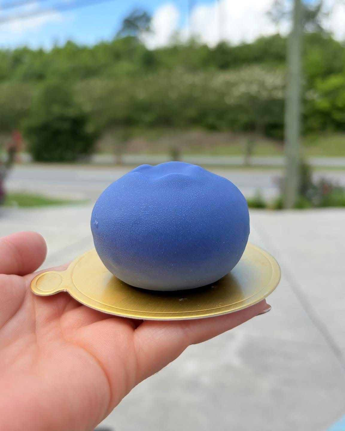 Blueberry Fruit Pastry