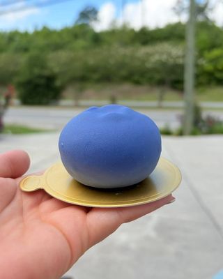 Blueberry Fruit Pastry