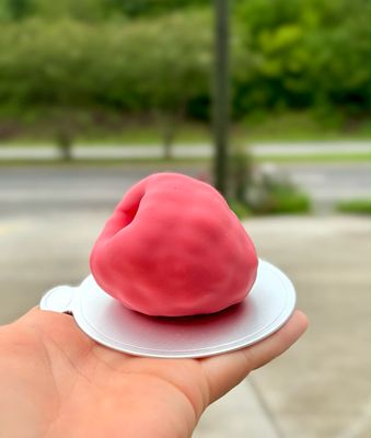 Raspberry Fruit Pastry