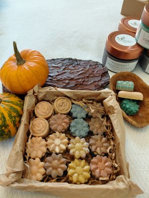 Winter Potpourri handmade natural soy wax melts-16 piece set