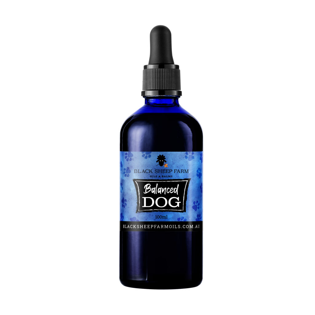 Balanced Dog Hemp Oil  25ml