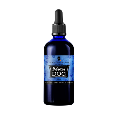 Balanced Dog Hemp Oil  25ml