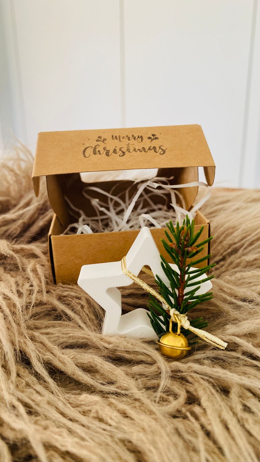 Rentier oder Stern (mit oder ohne Geschenkbox)