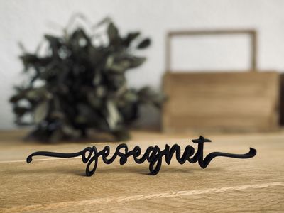 3D Druck (Schriftzüge)