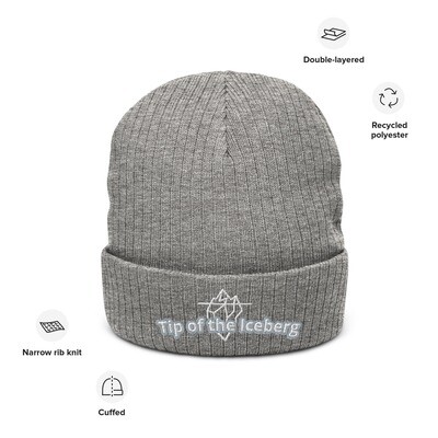 Knit Beenie - Tip of the Iceberg